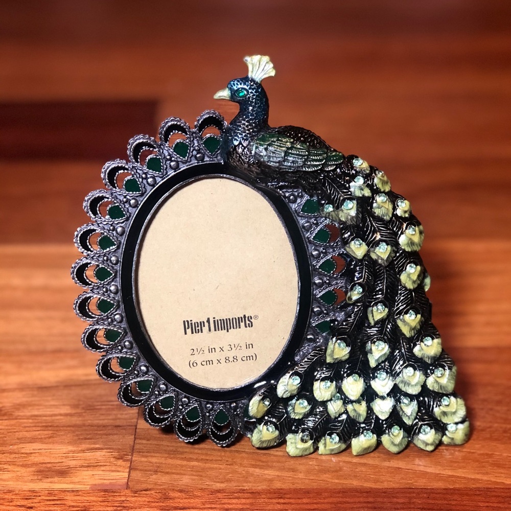 Pier 1 Imports Peacock 2.5 in x 3.5 in Frame